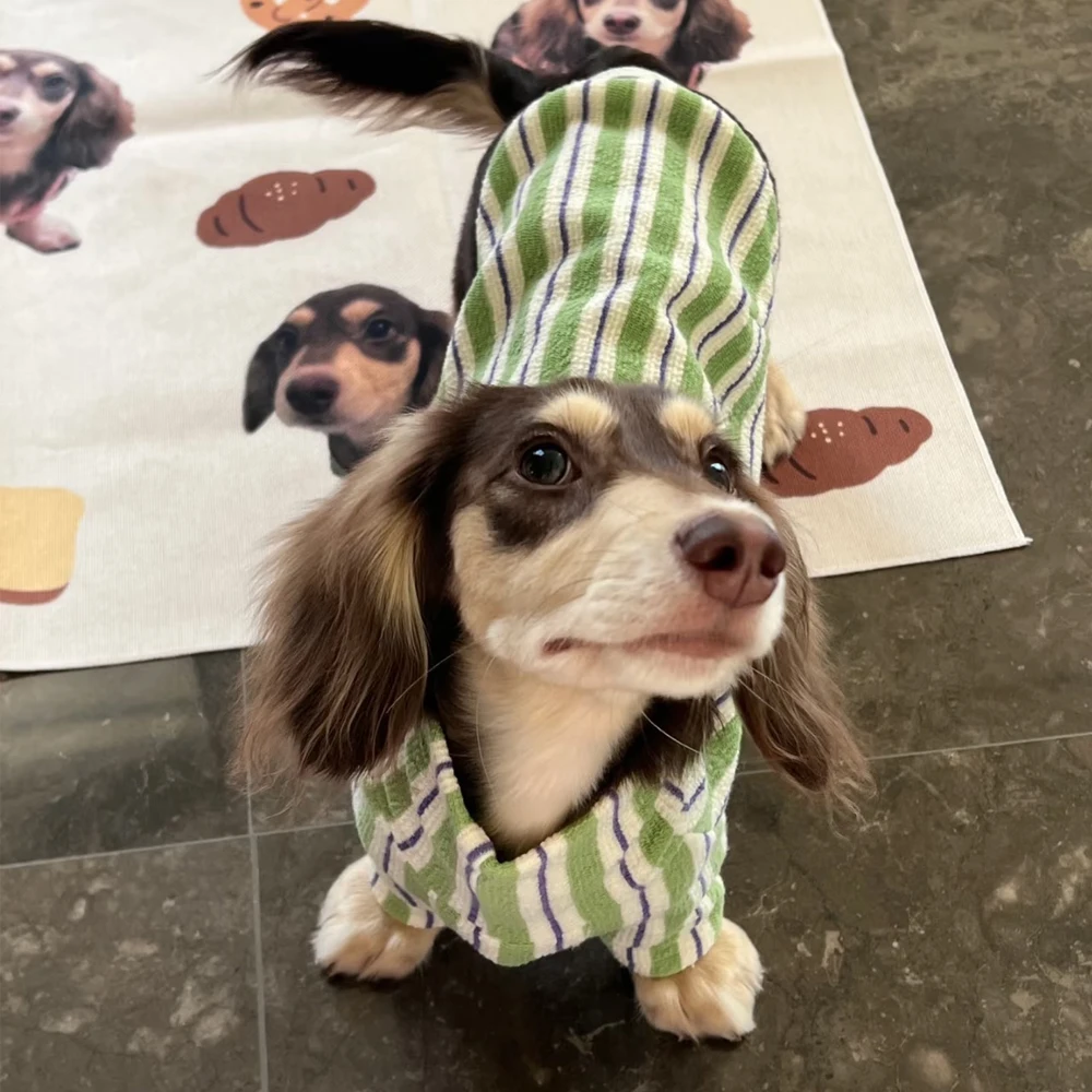 Sudadera de rayas verdes para perros Wiener, abrigo suave de otoño e invierno para perros salchicha, pijamas de lana cálidos para perros de tejón