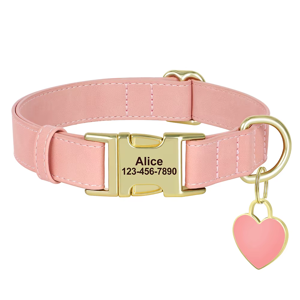 Collar para perro personalizado con placa de corazón – Grabado gratis - imagen 5