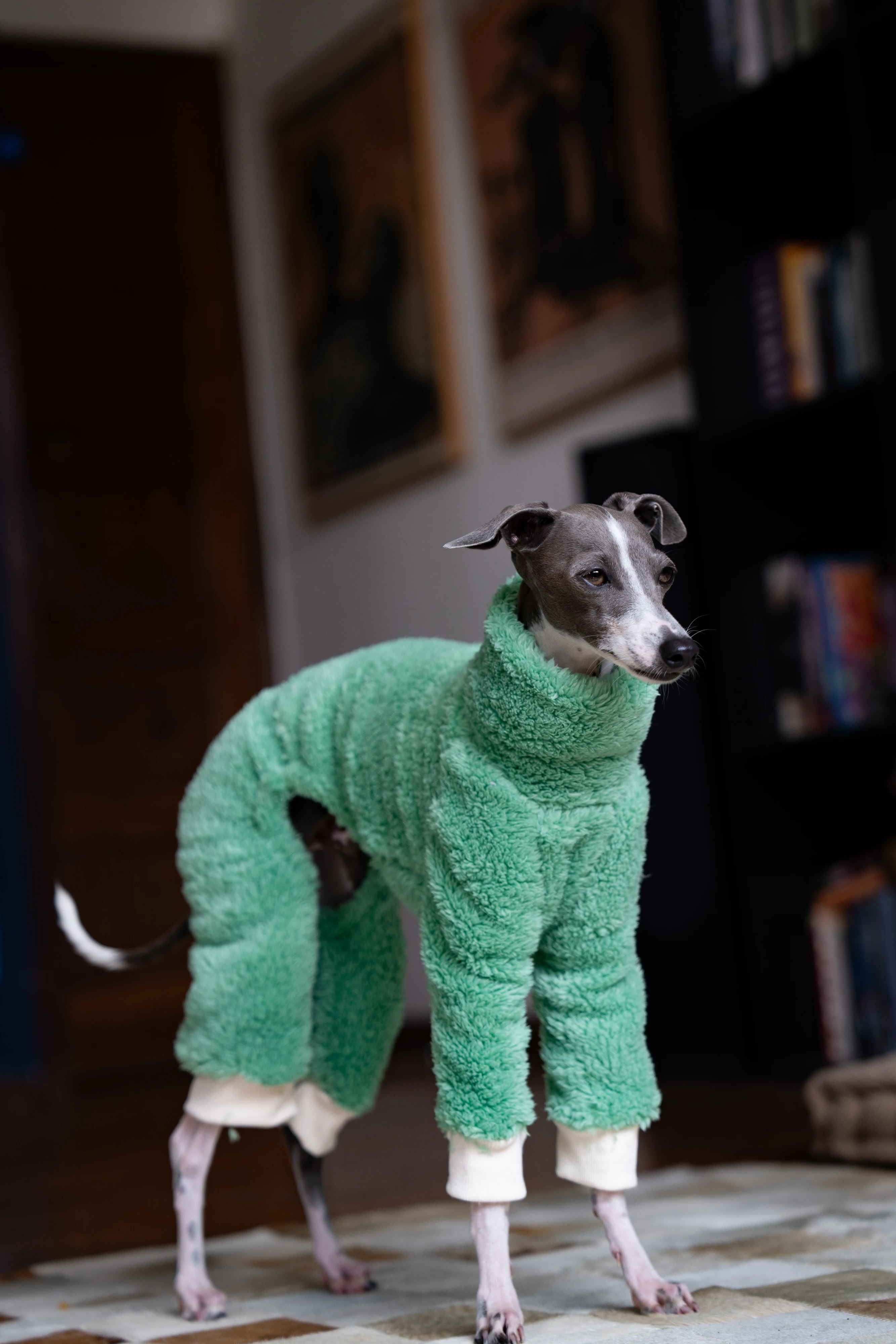 Ropa de galgo italiano de Navidad verde, ropa suave y cálida para cachorros de invierno, abrigo Whippet - imagen 2