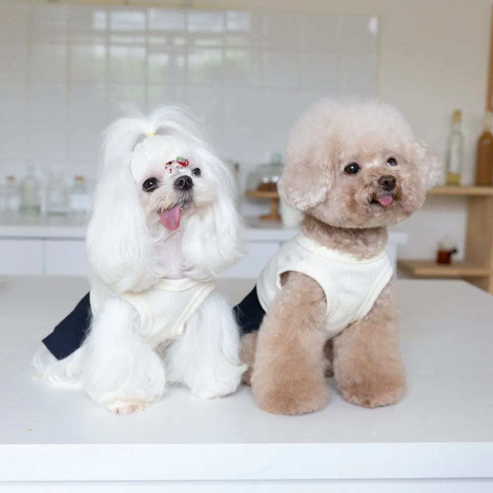 Uniforme escolar para mascotas Falda plisada Chaleco lindo Falda Ropa para gatos Ropa de peluche Ropa para perros pequeños Vestidos para perros Ropa para cachorros - imagen 3