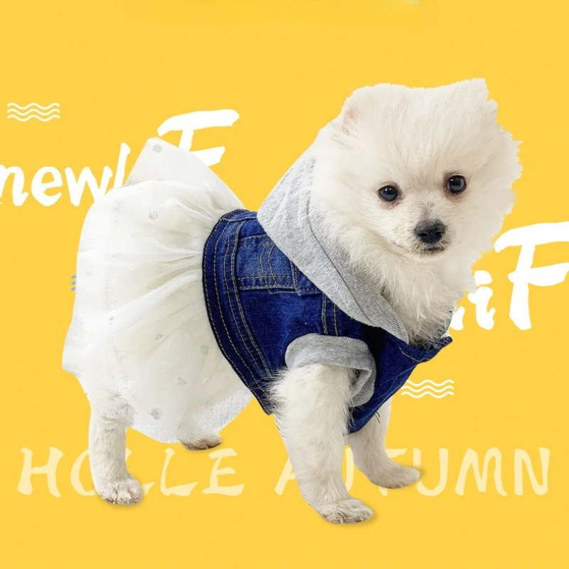 Ropa para perros pequeños, Otoño e Invierno, peluche Bichon, cachorros de Pomerania, ropa bonita de moda para mascotas, ropa de cuatro patas, ropa de algodón para invierno