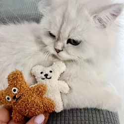 Juguete con menta para gatos y peluche para perros