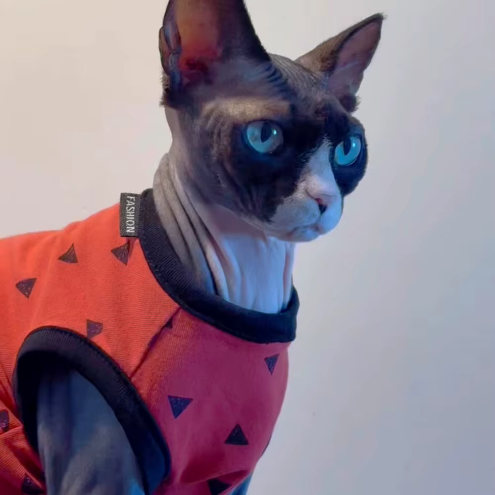 Chaleco suave para gatos Sphynx y Devon Rex - Ropa de primavera y otoño