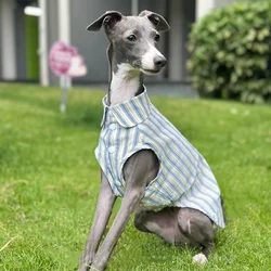 Camisa sin mangas de algodon a rayas para Whippet ultrafino comoda