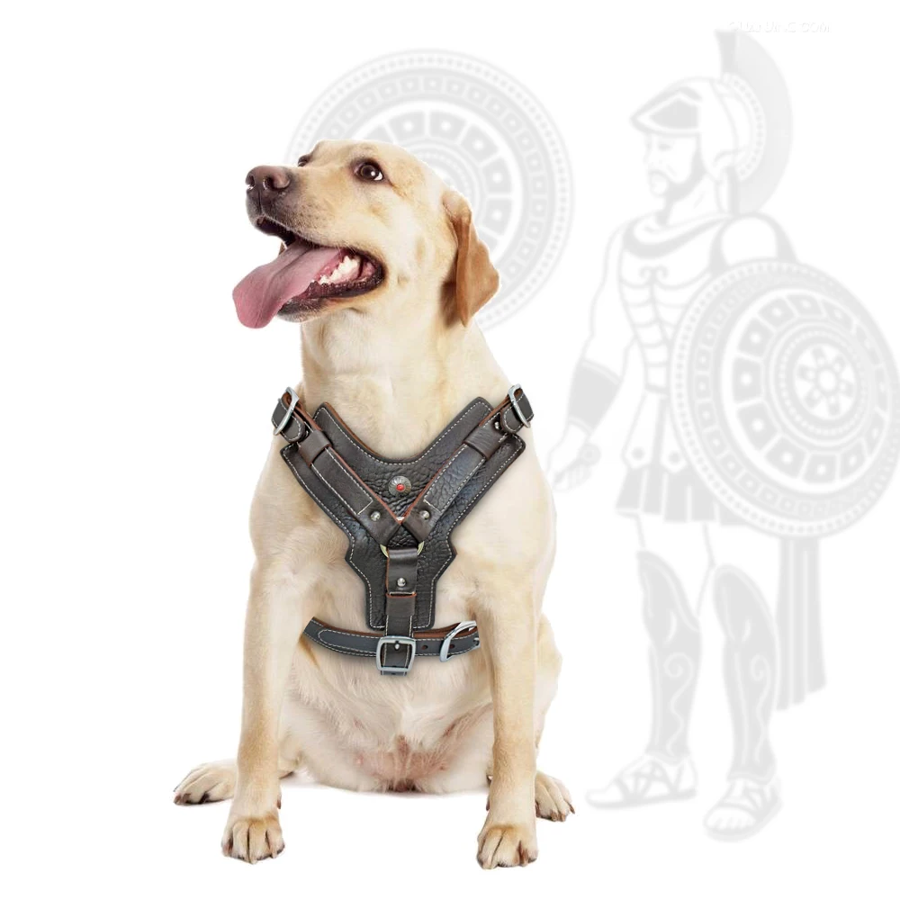 Arnés para perros grandes, Chaleco de cuero genuino duradero, arneses ajustables de Control rápido con asa, suministros para mascotas para Labrador - imagen 5