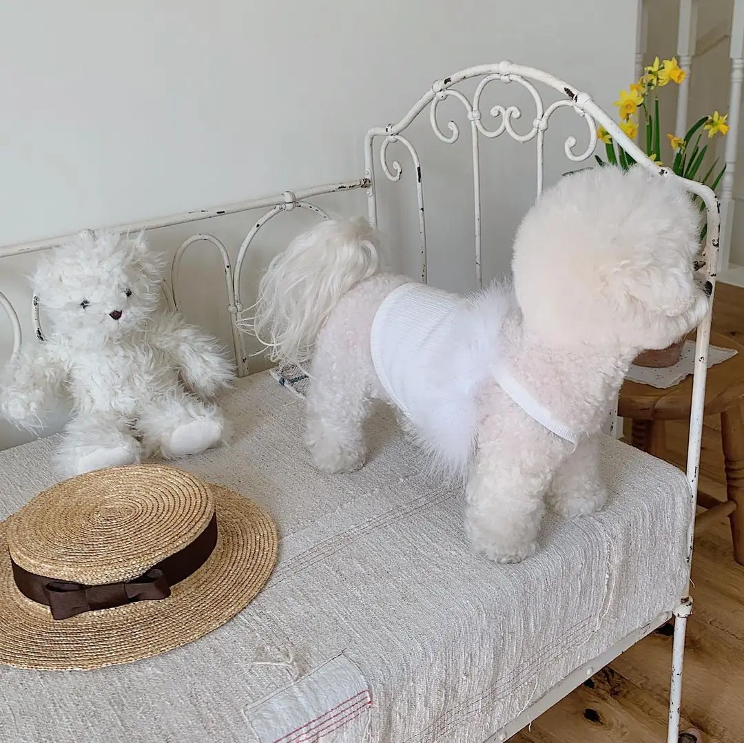 unknown_336958908_156703454377