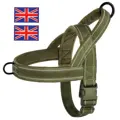 Green-UK