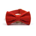 collar with bow