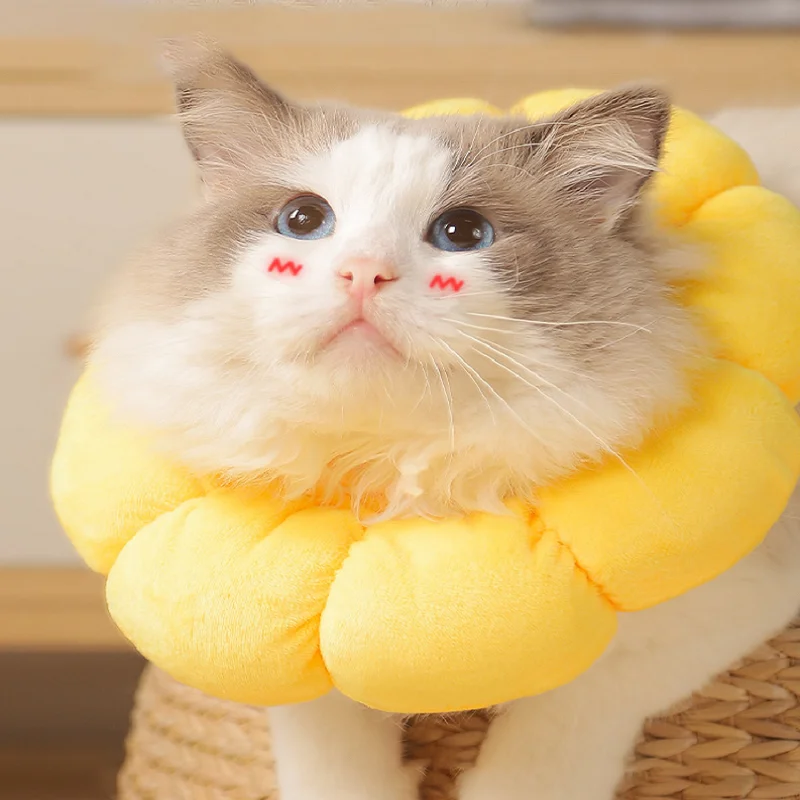 Nuevo Gato girasol Elizabeth algodón cuello esterilización alimentación Anti lamer mordida belleza cabeza cubierta perro mascota Collar - imagen 3