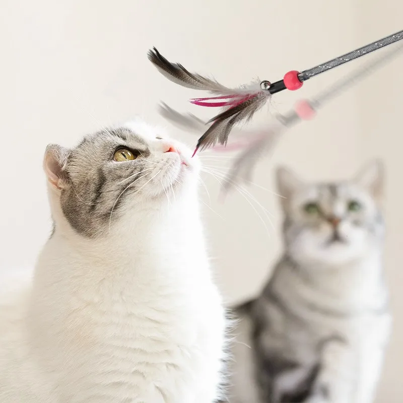Juguete interactivo con borla de plumas para gatos, suministros para mascotas, palos de mango largo - imagen 3