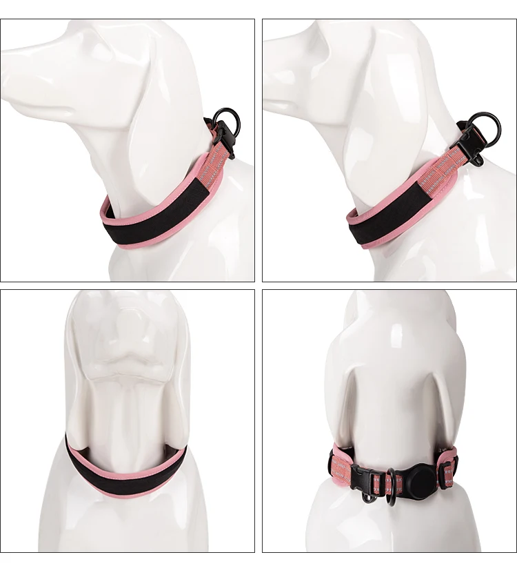 Un perro blanco con un collar rosa