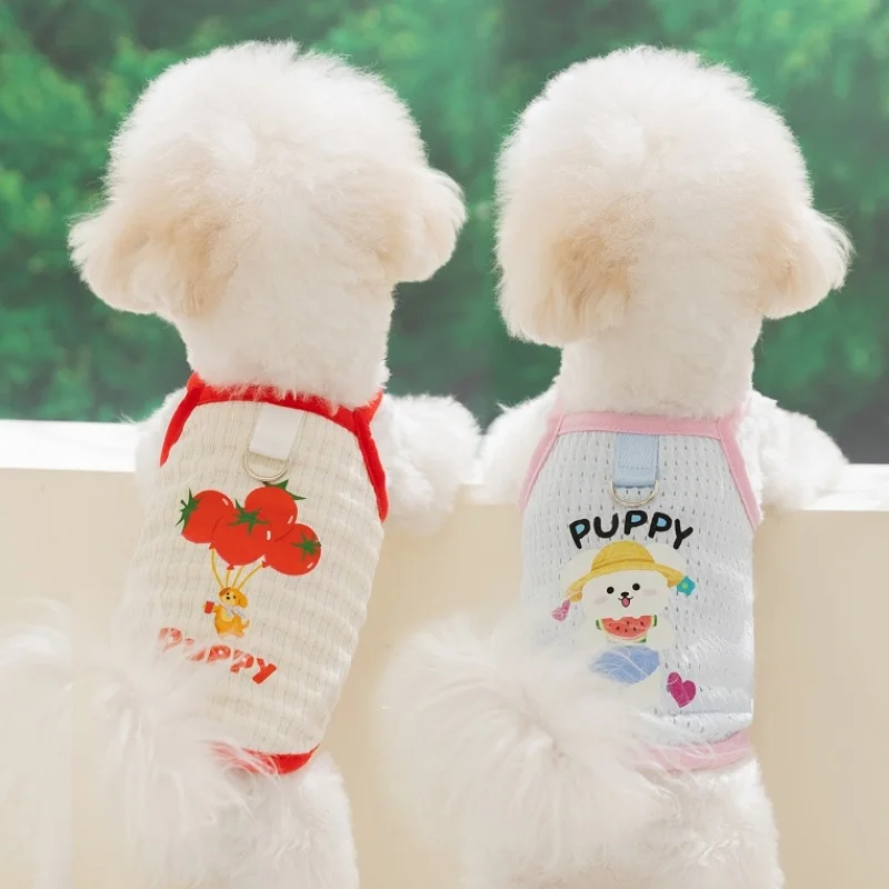 Chaleco verano suave para perro Bichón – Camiseta manga corta - imagen 2