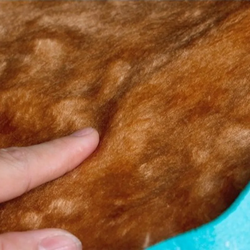 Nido de fieltro para mascotas, casa lavable para gatos, sofá suave para gatitos, suministros de descanso interactivos divertidos, cama para cachorros, almohadilla para dormir, productos para camas para gatos - imagen 5