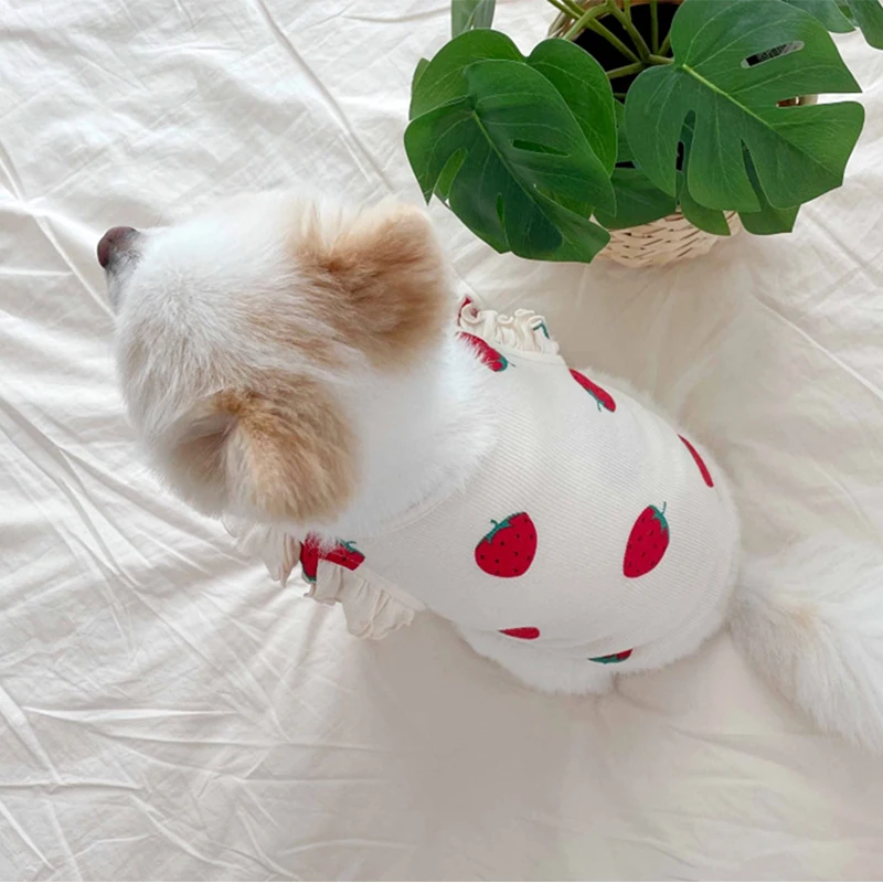 Camiseta fina de algodón para perro, chaleco bonito para mascotas, jersey para perros pequeños, Bulldog Francés, Chihuahua, primavera, verano - imagen 4