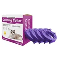 Purple Cat 38cm