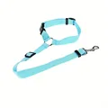 Sky Blue Leashes