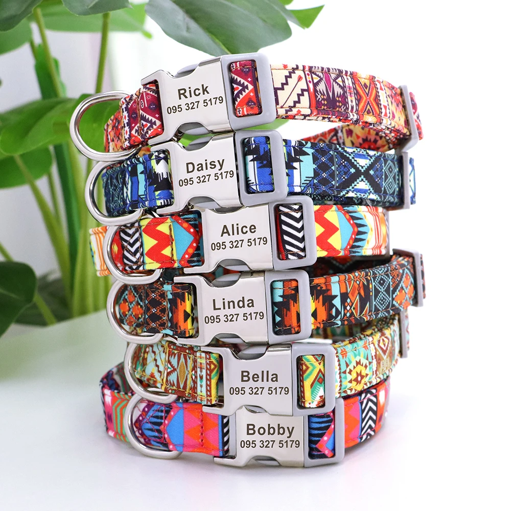 Collar en uso mostrando perro mediano con ajuste cómodo y seguro