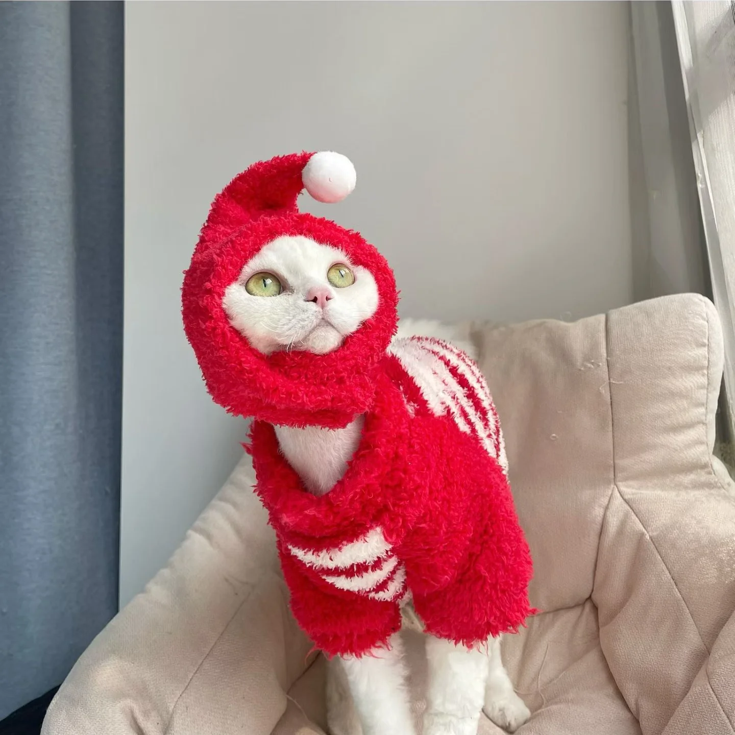 Suéter de felpa cálido para gatos Devon Rex y Sphynx con gorro - imagen 2