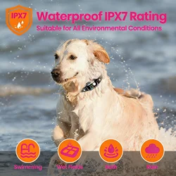 Collar antiladridos 2 en 1 impermeable para adiestramiento de perro