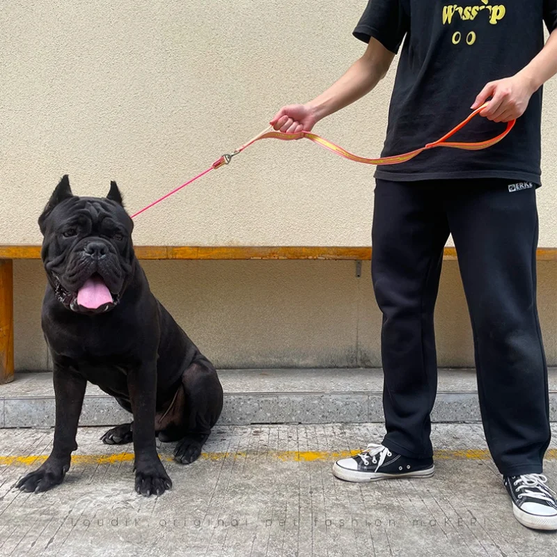 Correa P ultraligera antidesprendimiento para perros, correa de entrenamiento para mascotas antienredos con mango acolchado, correa ajustable para mascotas de doble asa - imagen 2