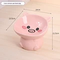 Pink pig