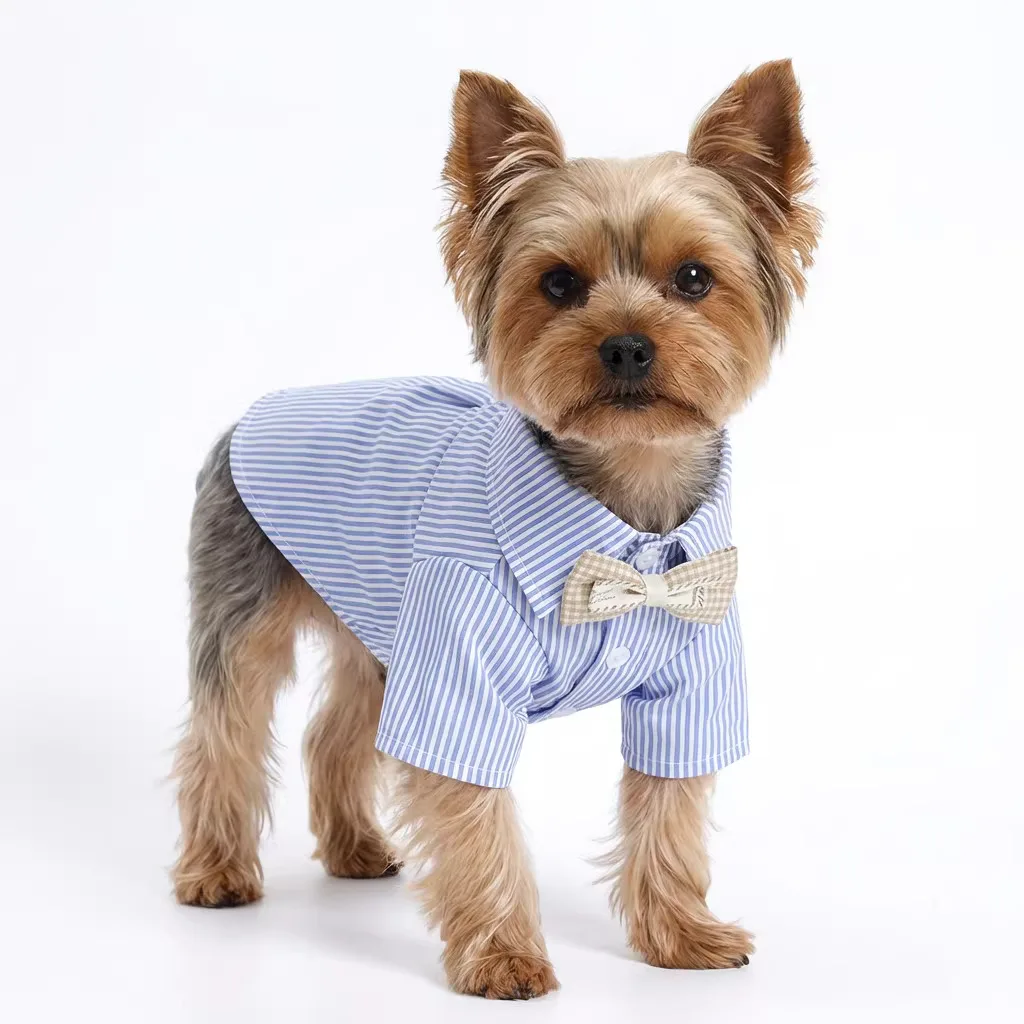 Camisa a rayas manga corta con moño para perros pequeños – Primavera - imagen 5