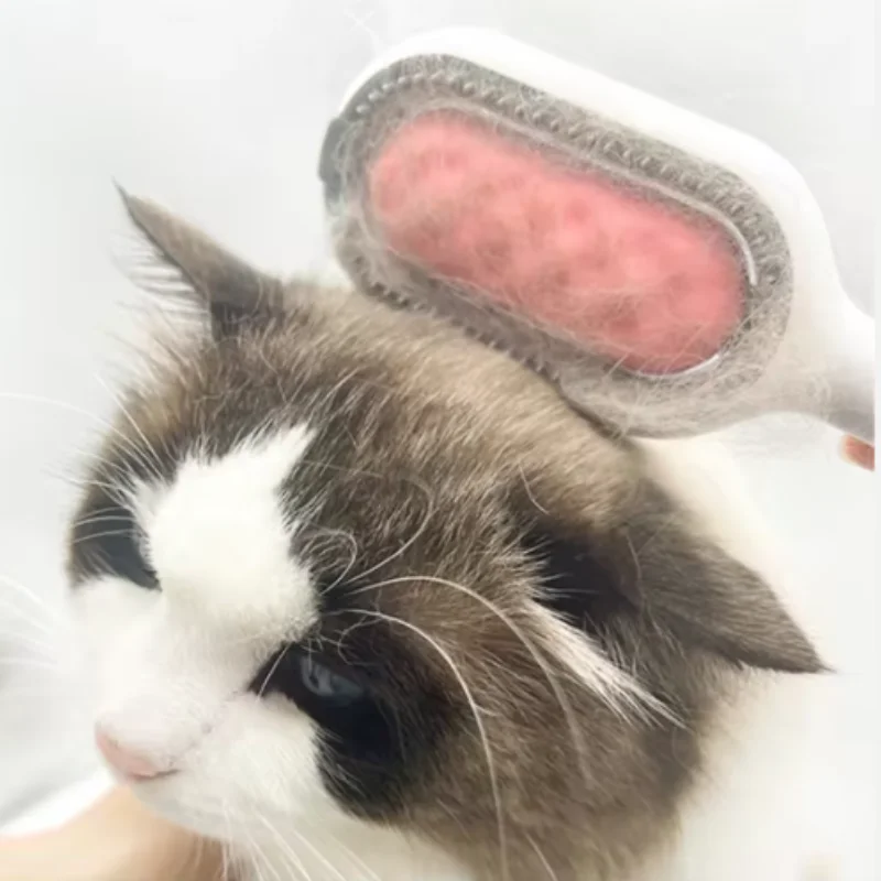 Cepillo de ducha de silicona para mascotas, dispensador de champú para perros y gatos, masajeador, cepillo de baño para accesorios de aseo y lavado de cachorros - imagen 2