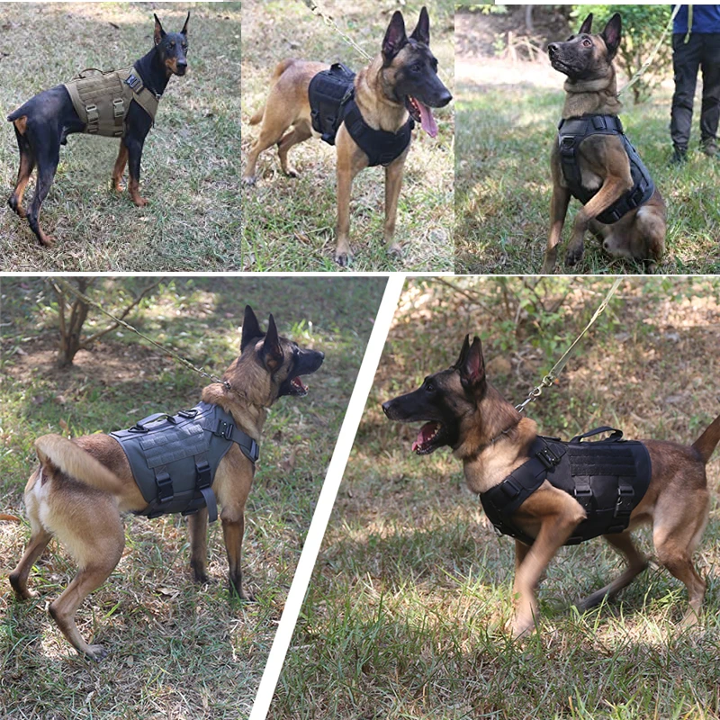 Chaleco militar táctico para mascotas, conjunto de arnés y correa para perros de entrenamiento táctico de pastor alemán Golden Retriever para perros de todas las razas - imagen 4