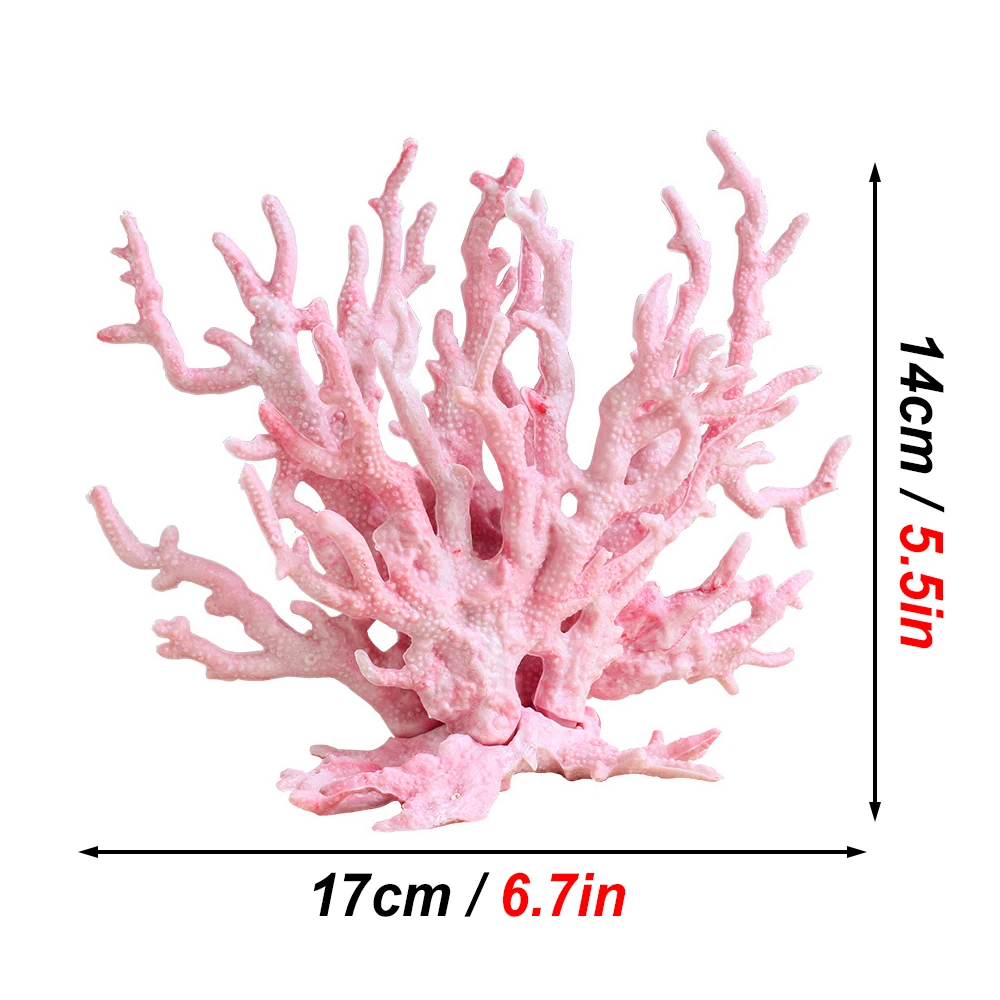 Coral desde diferentes perspectivas