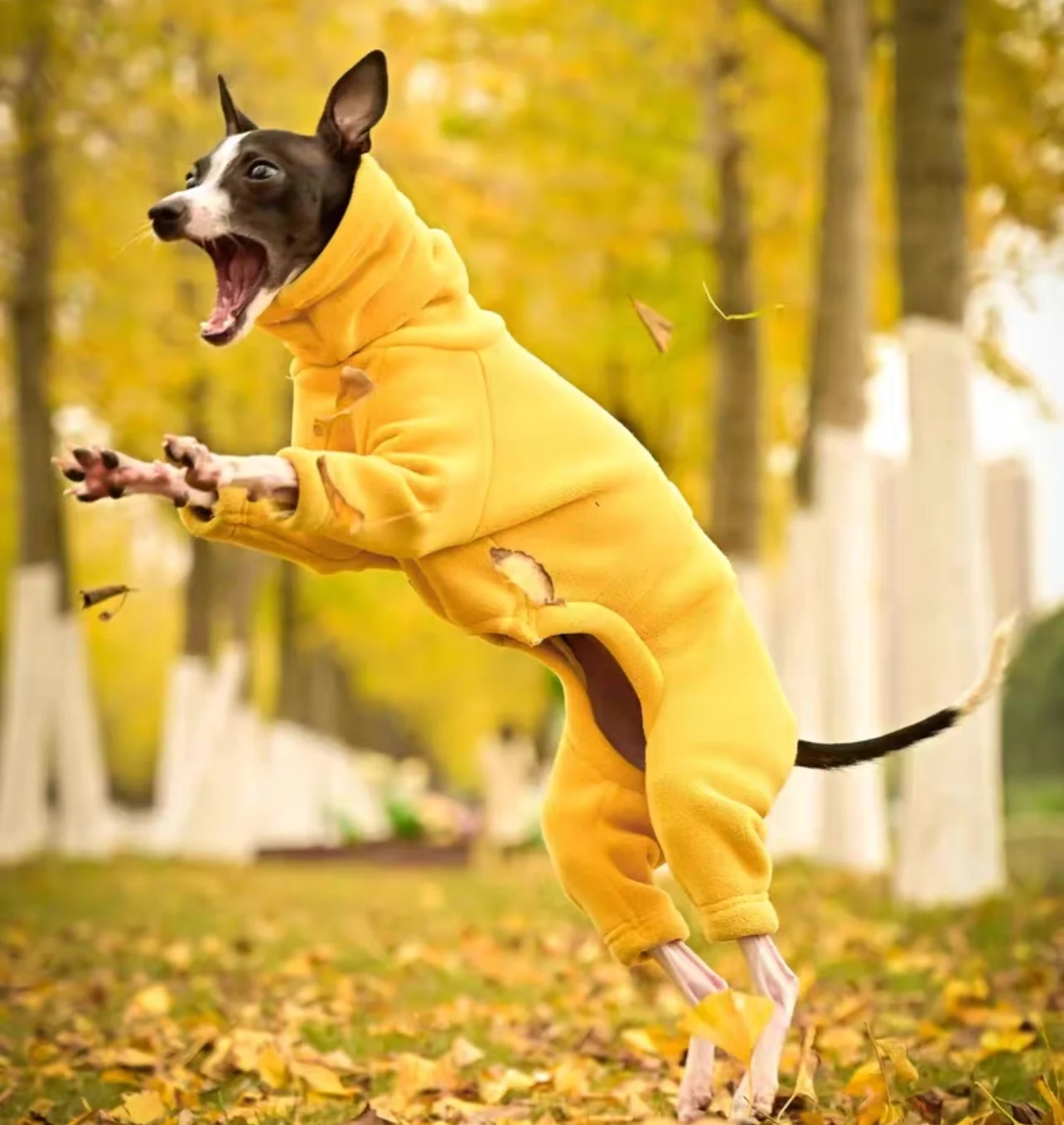 Mono polar de primavera e invierno para galgo italiano, abrigo amarillo suave de 4 patas con cuello alto a la moda para proveedor de mascotas Whippet - imagen 3