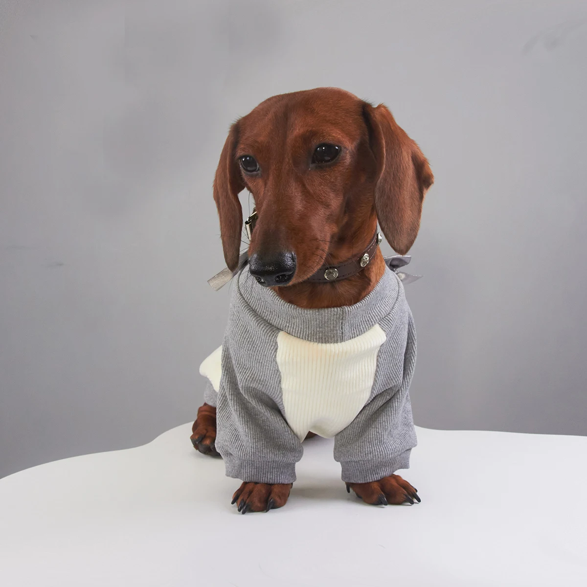 Pijama rosa cálido para perro salchicha – Otoño invierno primavera - imagen 3