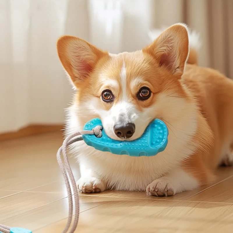 Juguete de tracción con ventosa para perros medianos y grandes - imagen 2