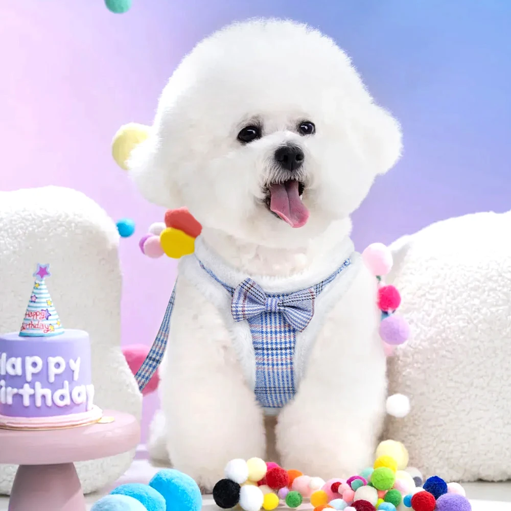 Conjunto de correa y arnés para perro, chaleco de piel cálida para invierno y cuerda de plomo para caminar para mascotas, bonitos arneses con lazo suaves para perros pequeños y medianos - imagen 5