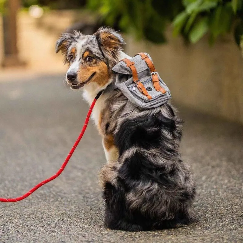 Mochila Retro británica para perros, bolsa de transporte para senderismo, bolsas para excrementos de perros empaquetadas de viaje, mochila para perros, suministros para mascotas para caminar al aire libre - imagen 4