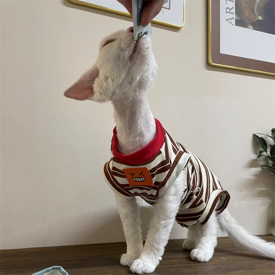 Traje de verano suave para gato de cuatro patasCamiseta marrón de manga corta a rayas de algodón para Sphinx Cat en primavera Chaleco suave para gatitos - imagen 3