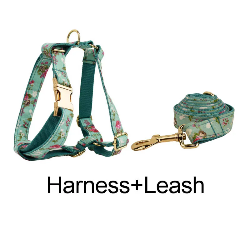 Harness leash