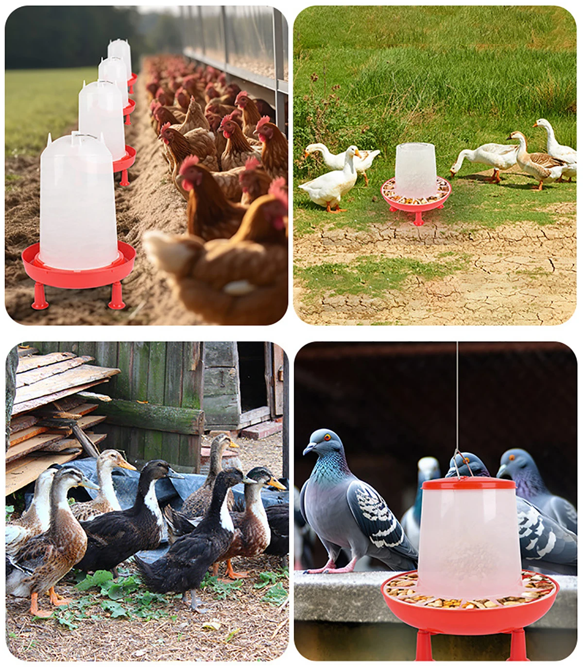 Cubo alimentador rojo para pollo y pato, 1,5 kg/3L, con pierna, fuente de comida para aves de corral, pollo, gallina, tapa, mango, suministros de riego, 1 ud. - imagen 3