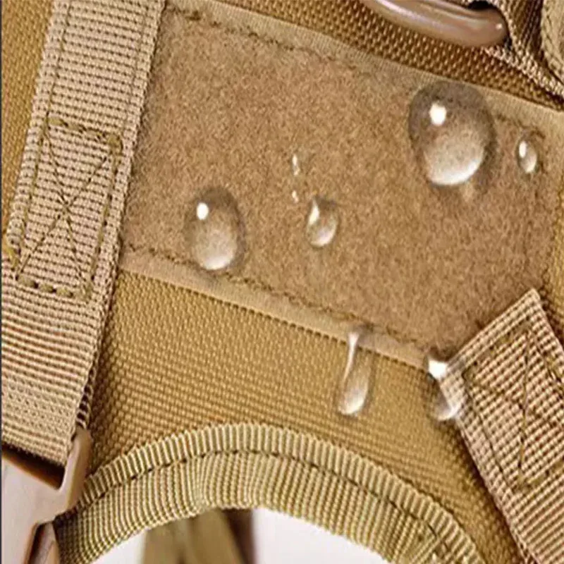 Chaleco impermeable al aire libre para gatos, ropa para gatos, correa para el pecho, chaleco especial para gatos que caminan - imagen 4