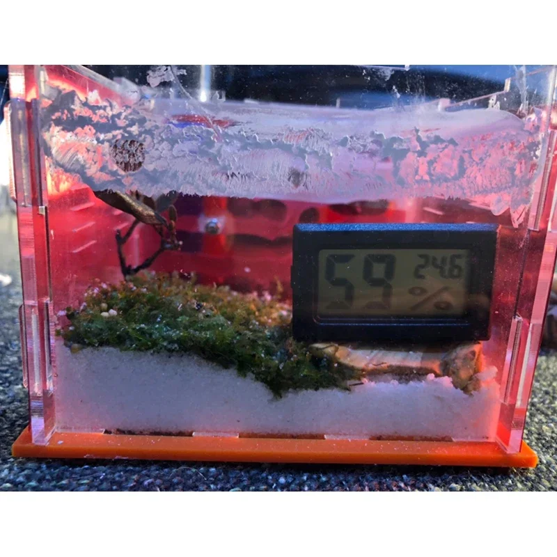 Polvo antiescape para granja de hormigas 40 g - control de insectos - imagen 5