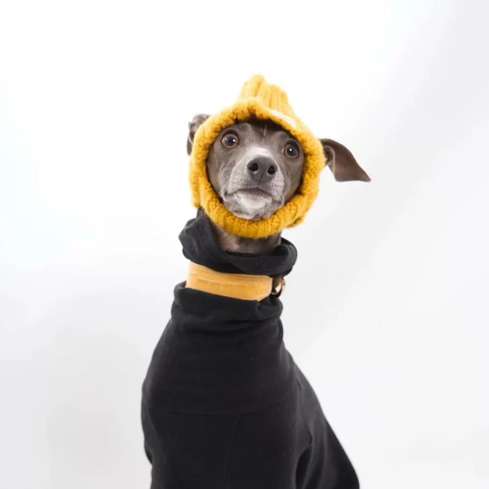 Gorro de galgo italiano hecho a mano, decoración de cabeza de perro de invierno en otoño, sombrero cálido para perros pequeños Whippet con orejas expostas - imagen 4