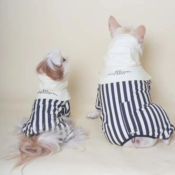 Chubasquero con capucha a rayas para mascotas, abrigo impermeable de cuatro pies para perros pequeños, mono con protección solar, disfraz para perros, primavera - imagen 5