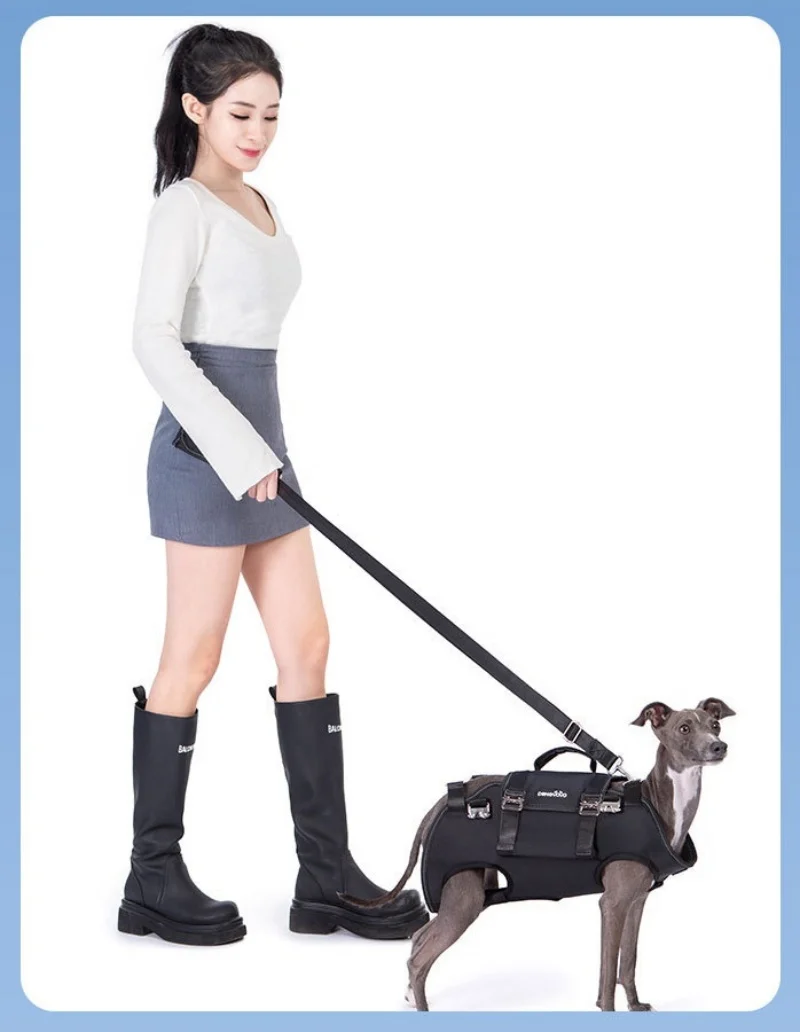 Mochila para perros, arnés de elevación para perros con correa, mochila ajustable para transportar mascotas, piernas hacia fuera, bolsa frontal para perros de cuerpo completo - imagen 5