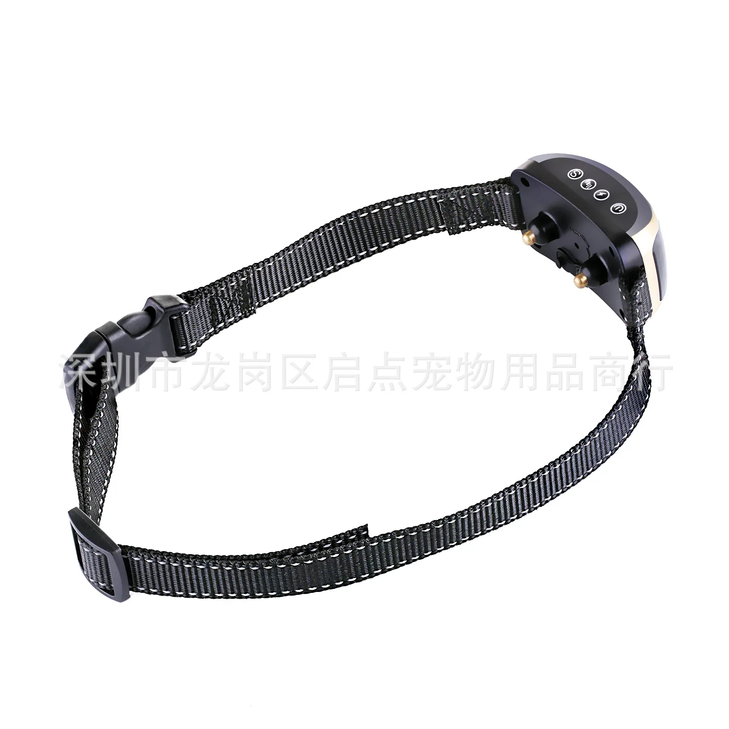 Collar anti ladridos en uso