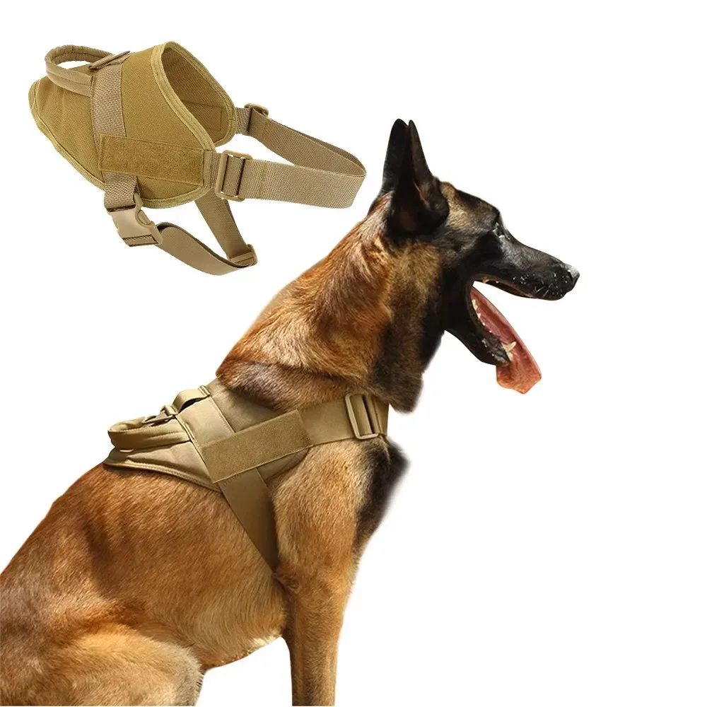 Ropa de moda primavera para perros y cachorros premium – Uso diario - imagen 3
