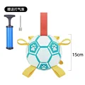 diameter 15cm