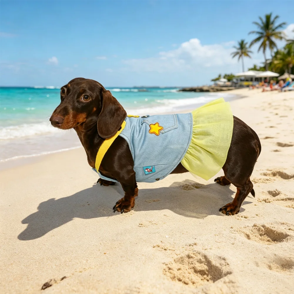 Vestido azul verano con encaje amarillo para perras pequeñas y medianas - imagen 5