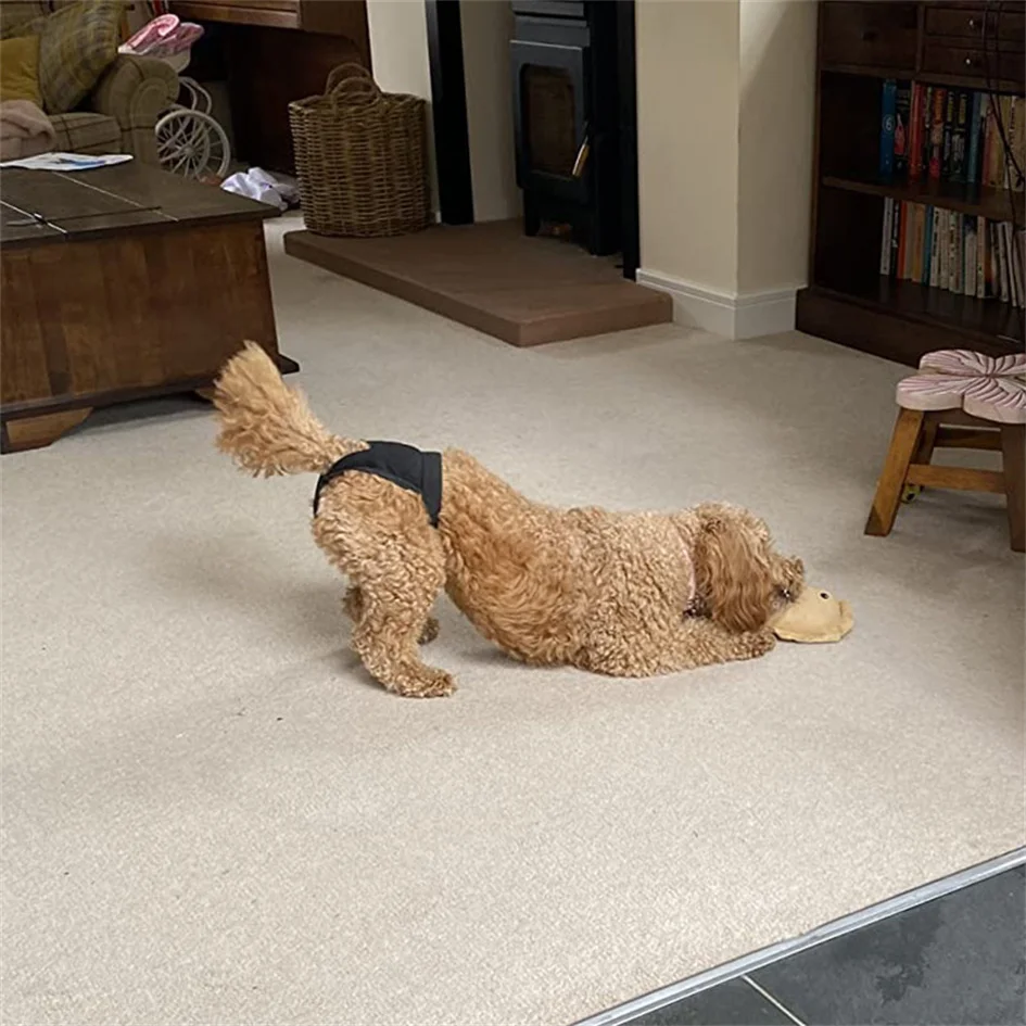 Hogar limpio seguro - Tranquilidad garantizada