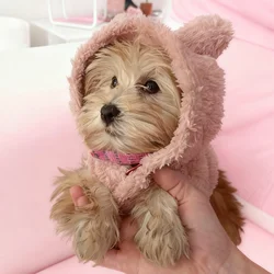 Sudadera con capucha de lana para perros Yorkshire – Cálida para invierno