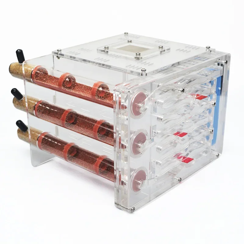 DIY acrílico granja de hormigas ecológico 3 tubos de ensayo de bambú nido con área de alimentación casa de hormigas pueblo mascota antill taller nido de hormigas Castillo - imagen 2