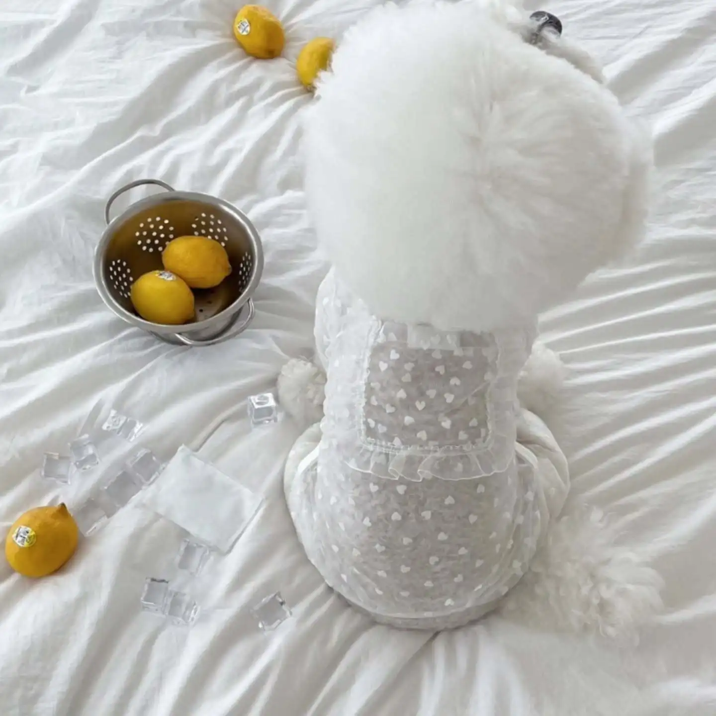 Mosquitera de primavera para mascotas, pantalones de cuatro esquinas de malla, mono con corazón Floral y bolsillos, ropa para cachorros Schnauzer de peluche